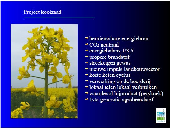 koolzaad